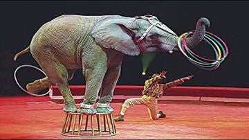 Espectáculo de circo con un elefante.