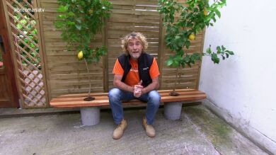 Construimos un asiento limonero