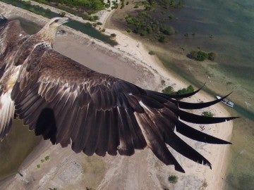 Primer premio Dronestagram 2014