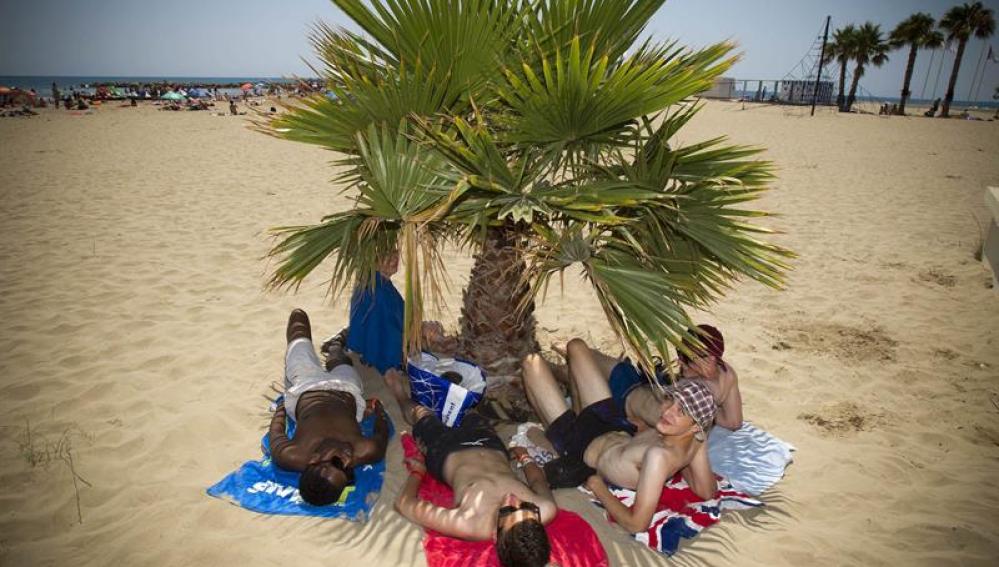FIbers tomando el sol en la playa