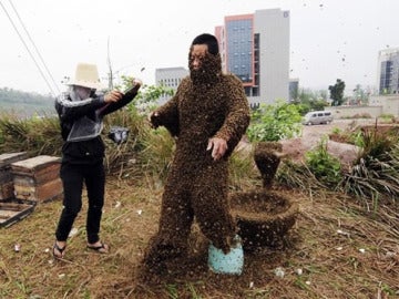 Un hombre fallece tras ser atacado por una plaga de abejas Un hombre fallece tras ser atacado por una plaga de abejas