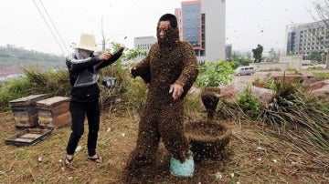 Un hombre fallece tras ser atacado por una plaga de abejas