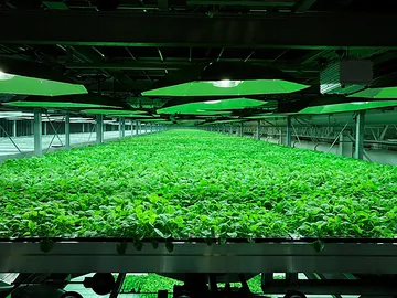 Droga experimental (06-08-2014) Droga experimental (06-08-2014)