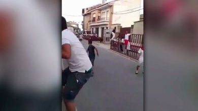 Un toro se queda atrapado en una cabina telefónica durante un encierro de Santacara