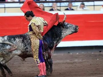 El diestro Iván Fandiño da un pase con la muleta al segundo de su lote El diestro Iván Fandiño da un pase con la muleta al segundo de su lote