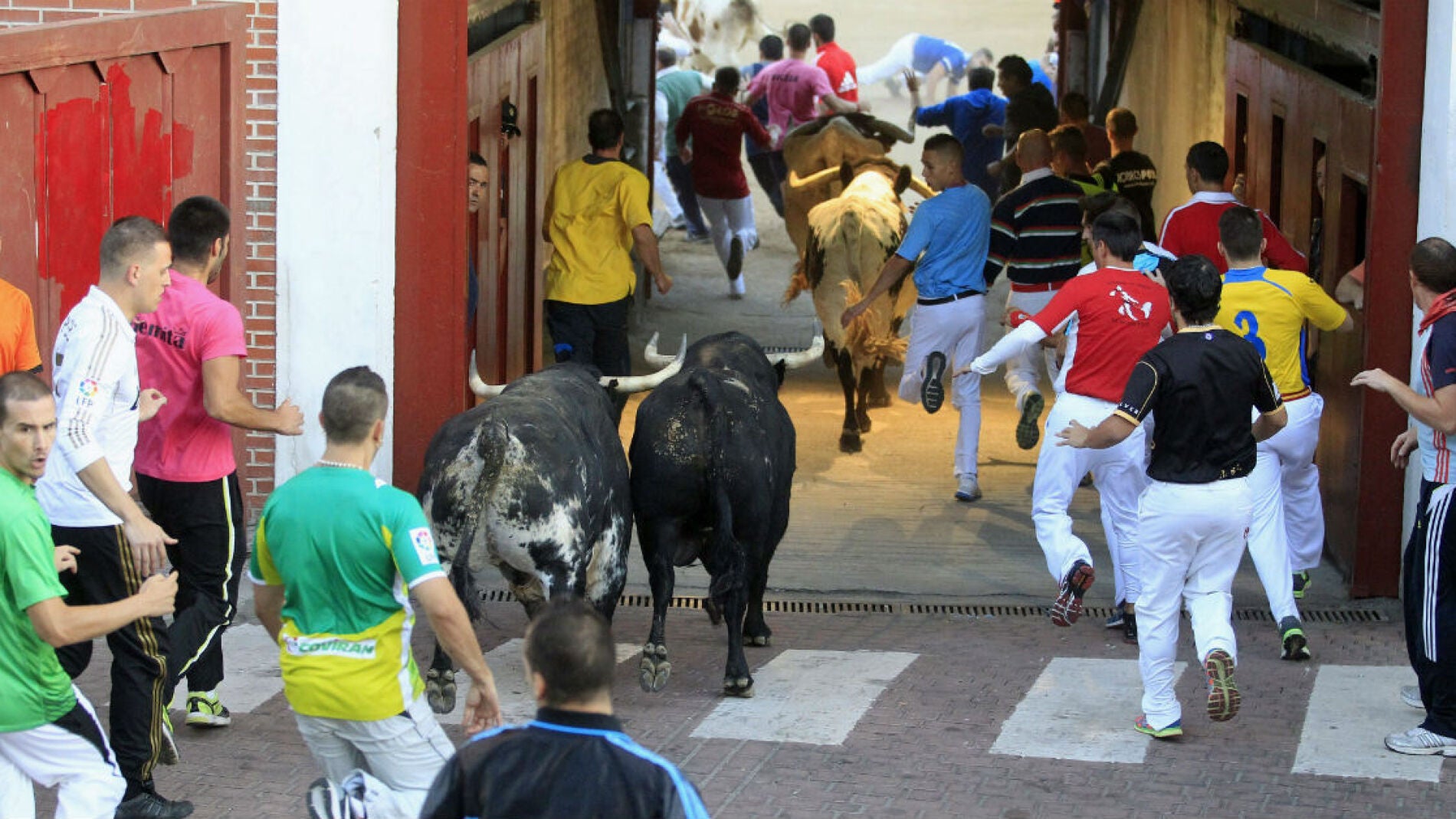 Primer encierro, r&aacute;pido y limpio, de las fiestas de la "pamplona chica", San Sebasti&aacute;n de los Reyes, en Madrid.