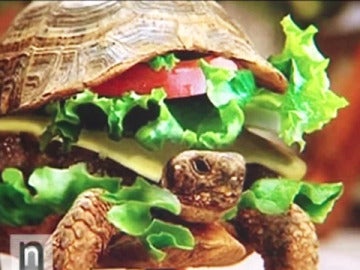 Tortuga camuflada de hamburguesa