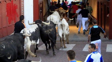 Los encierros de San Sebastián de los Reyes 2017, en directo en Antena 3