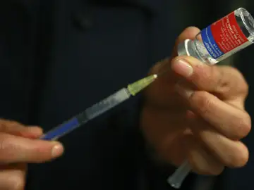 La semana próxima comenzarán los ensayos de una vacuna contra el ébola en EE.UU La semana próxima comenzarán los ensayos de una vacuna contra el ébola en EE.UU