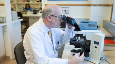 Un estudio revela la existencia de una proteína que podría ayudar en terapias contra el Alzheimer