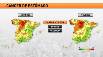 Crean el mayor mapa sobre la evolución del cáncer en España por regiones