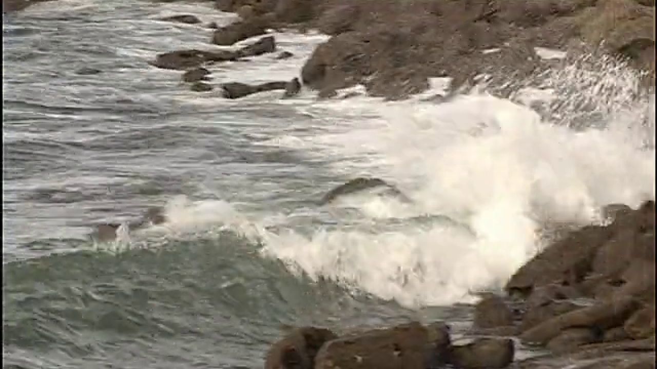 Un hombre muere ahogado al lanzarse al mar para salvar a su perro