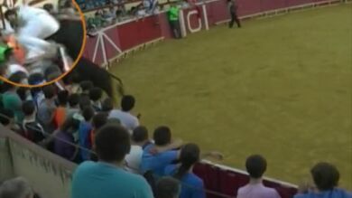 Un hombre, herido grave en la Fiesta de las Vacas de Lodosa