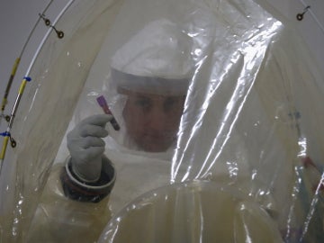 Investigación contra el ébola