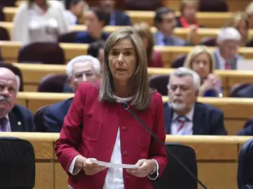 Ana Mato en declaraciones al Senado Ana Mato en declaraciones al Senado