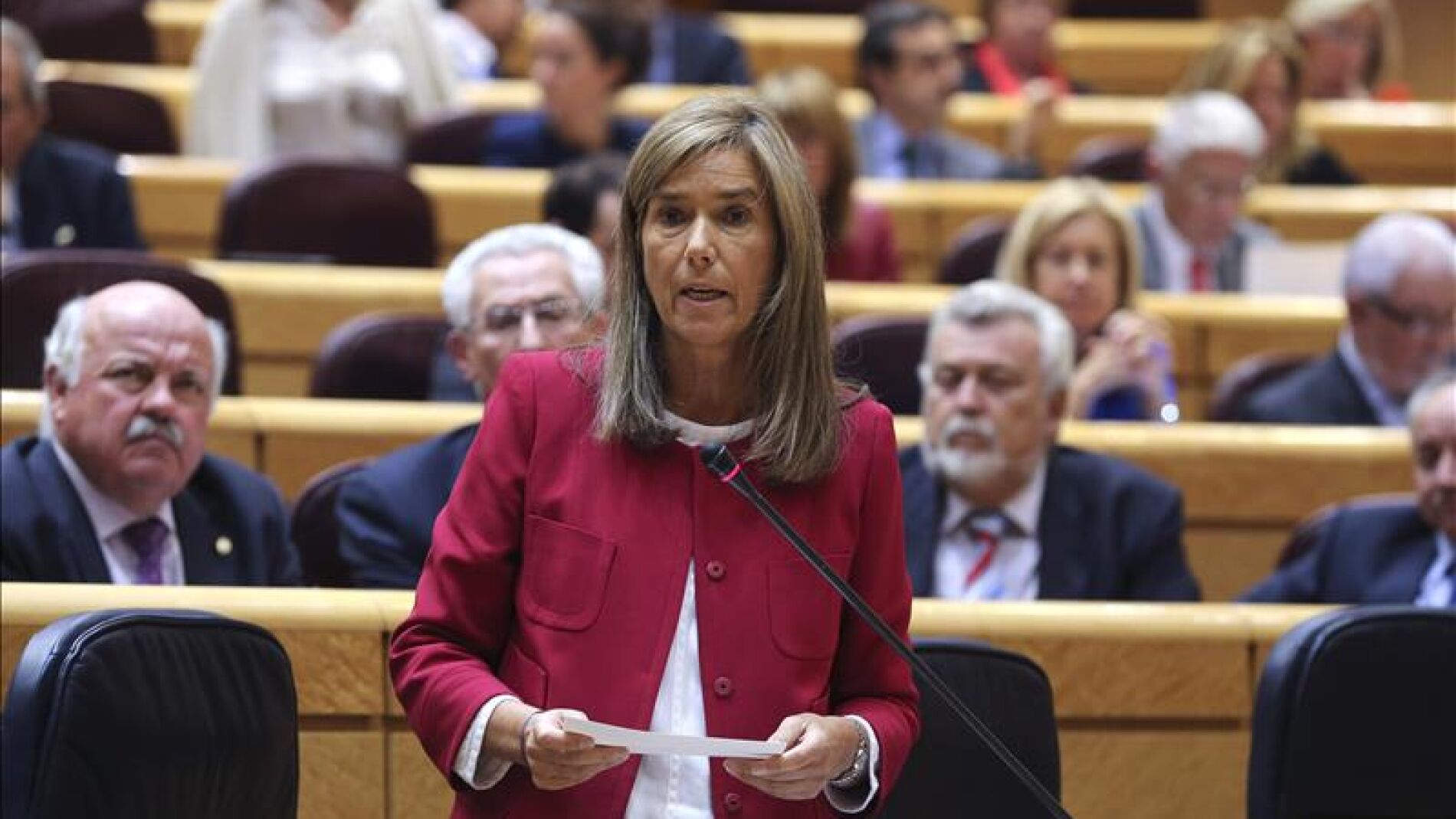 Ana Mato en declaraciones al Senado