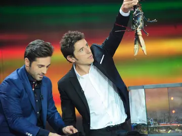 David Bustamante duerme al bogavante David Bustamante duerme al bogavante