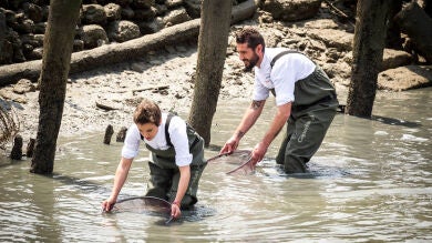 Peña, en busca de la dorada perdida