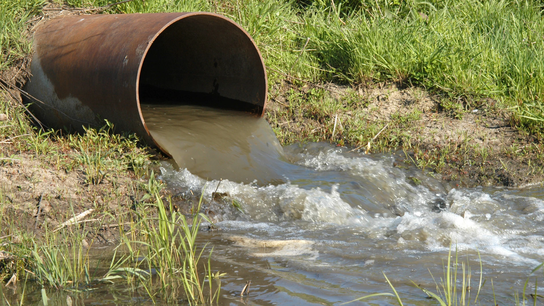 El agua contaminada mata El agua contaminada mata