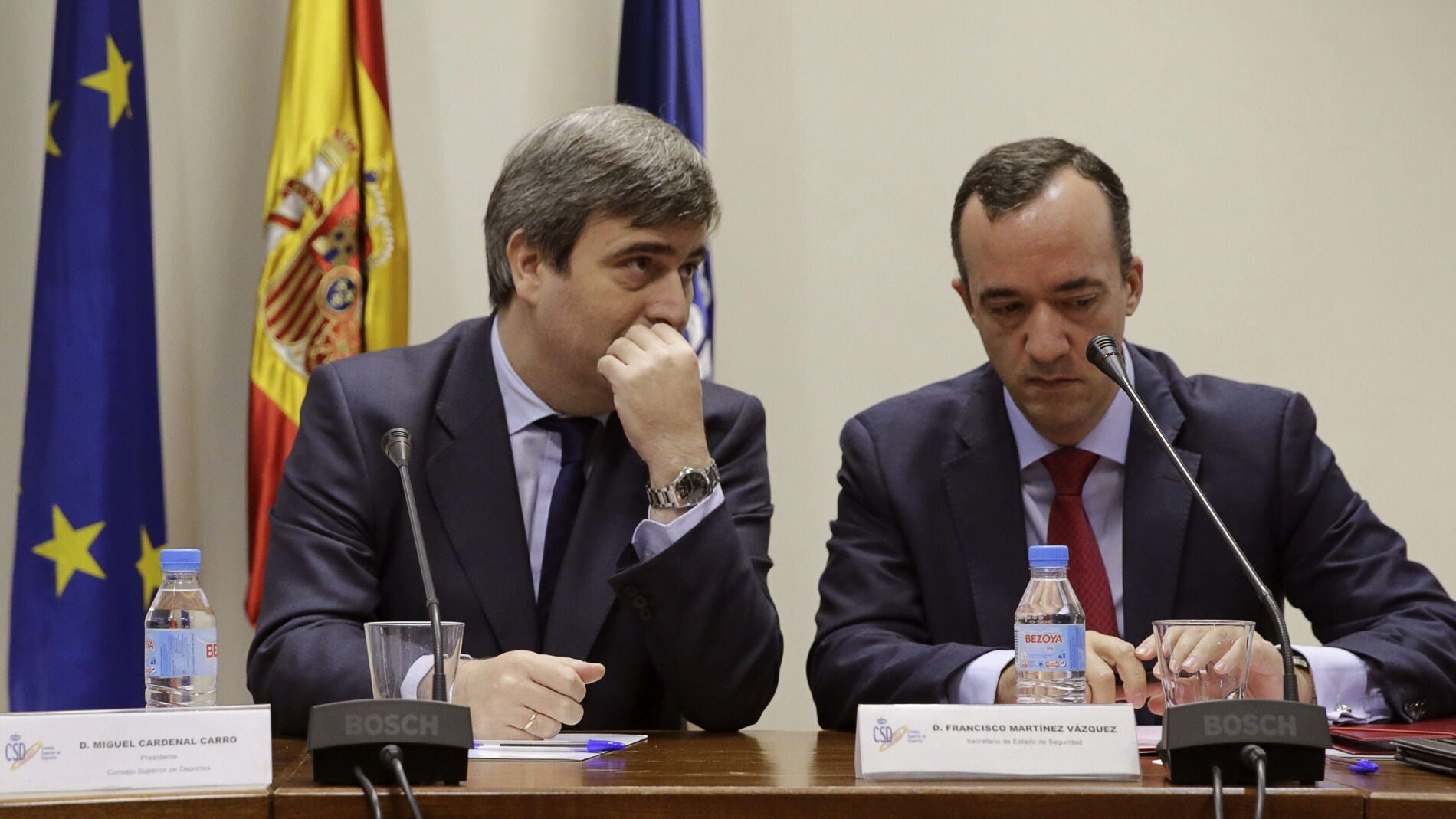 Los secretarios de Estado para el Deporte y de Seguridad, Miguel Cardenal y Francisco Mart&iacute;nez 