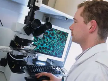 Identifican unos genes que son antitumorales en el cáncer de vejiga Identifican unos genes que son antitumorales en el cáncer de vejiga
