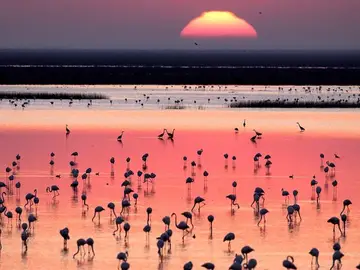 Atardecer en Doñana Atardecer en Doñana