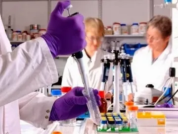 Imagen de archivo de una investigación para un tratamiento contra el cáncer Imagen de archivo de una investigación para un tratamiento contra el cáncer