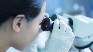 España registró once casos de lepra en 2014, una enfermedad curable y olvidada