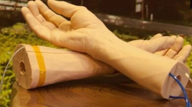 Google trabaja en una piel humana sintética para luchar contra el cáncer