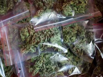 Bolsas de marihuana Bolsas de marihuana