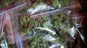 Bolsas de marihuana