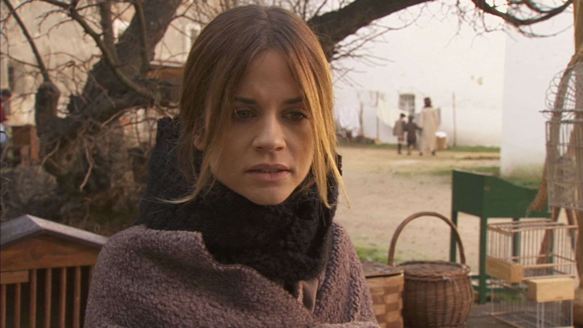 Alicia