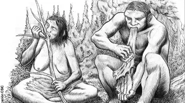 Los neandertales Los neandertales