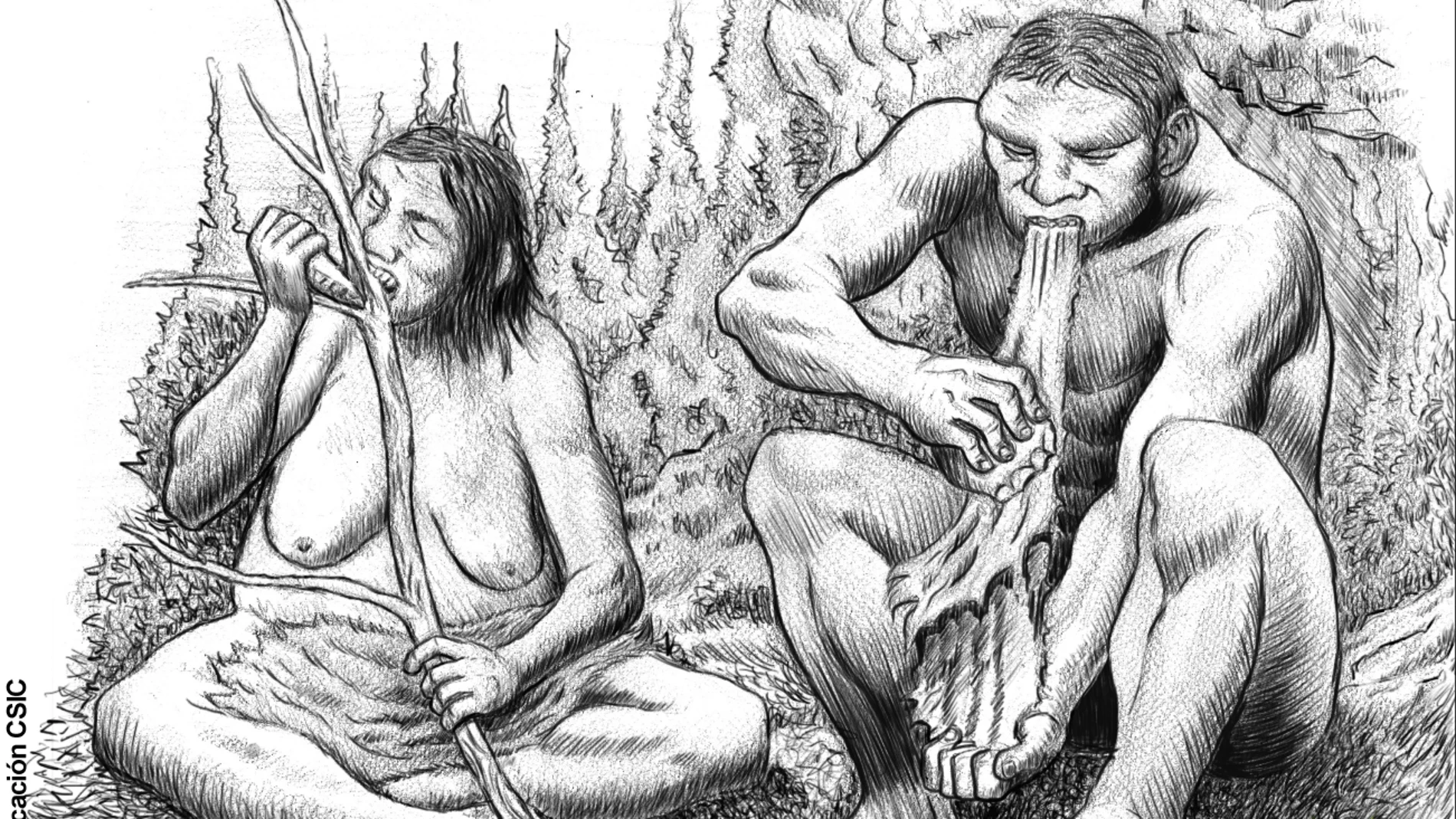 Los neandertales Los neandertales
