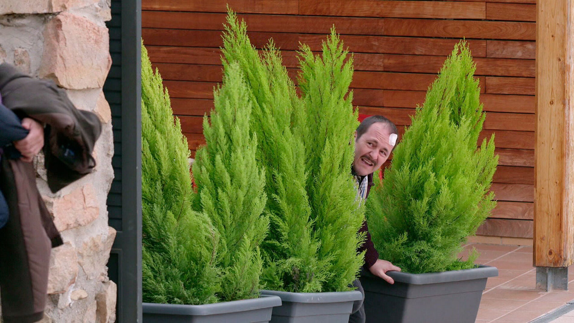 Lolo 'plantando un pino'