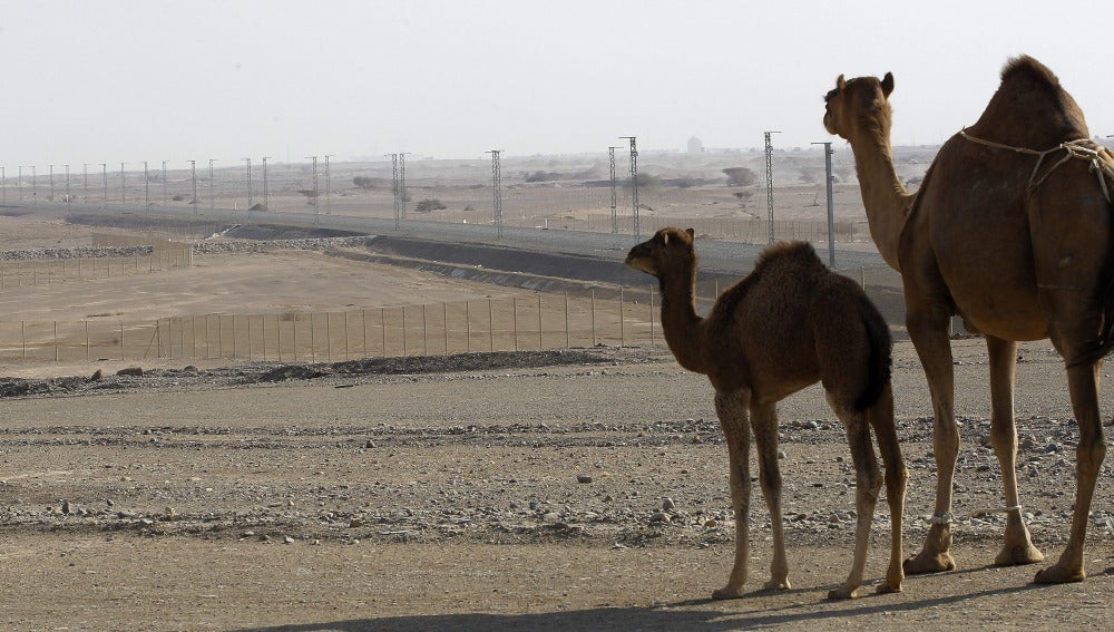 Arabia Saudí levanta muros en el desierto