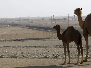 Arabia Saudí levanta muros en el desierto Arabia Saudí levanta muros en el desierto