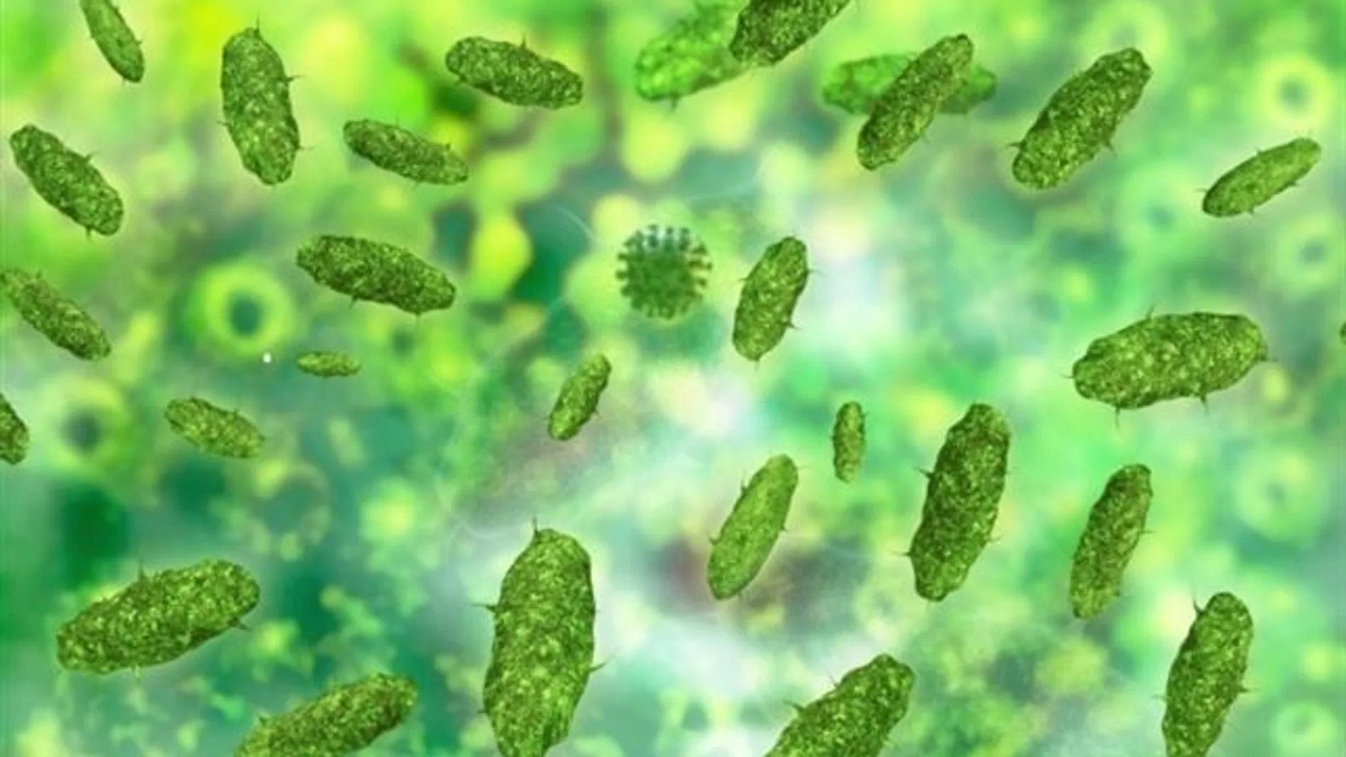 Microbios intestinales Microbios intestinales
