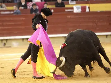 El diestro José María Manzanares recibe con el capote a uno de sus toros El diestro José María Manzanares recibe con el capote a uno de sus toros
