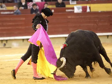 El diestro José María Manzanares recibe con el capote a uno de sus toros El diestro José María Manzanares recibe con el capote a uno de sus toros