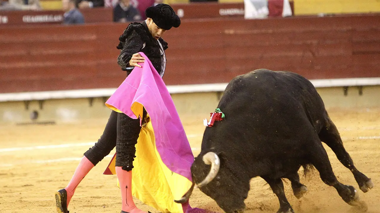 El diestro José María Manzanares recibe con el capote a uno de sus toros