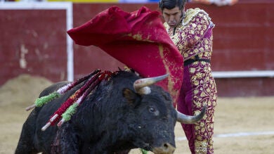Morante marca diferencias con la pureza y la naturalidad de su toreo