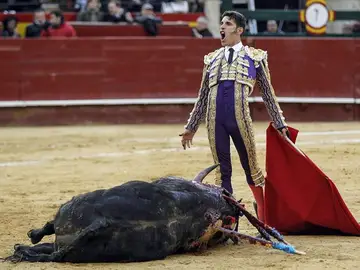 El diestro pacense Alejandro Talavante tras la muerte de 'Superior' de la ganadería de Zalduendo El diestro pacense Alejandro Talavante tras la muerte de 'Superior' de la ganadería de Zalduendo