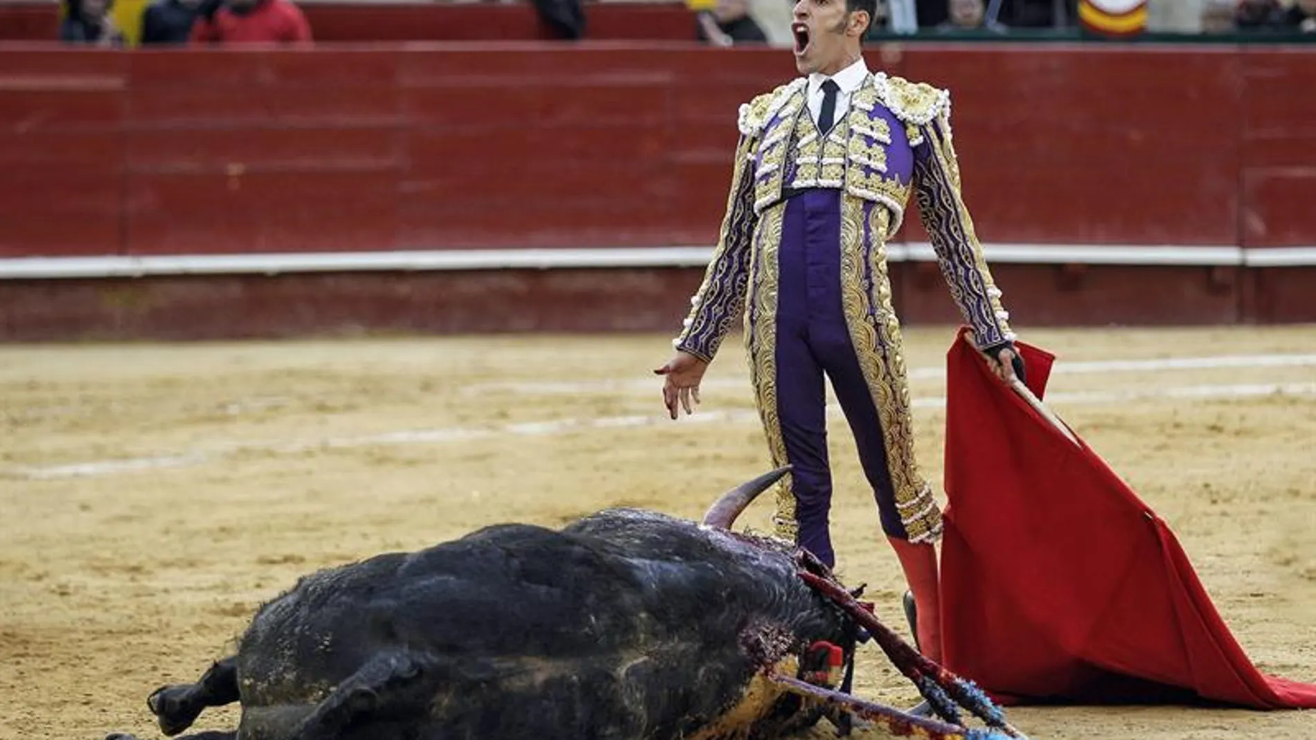 El diestro pacense Alejandro Talavante tras la muerte de 'Superior' de la ganadería de Zalduendo