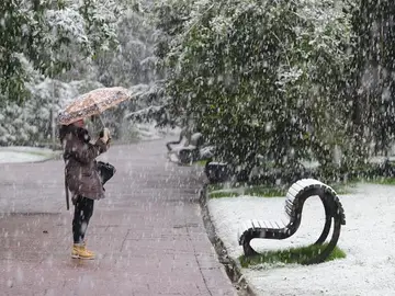 Nevada en Vitoria Nevada en Vitoria