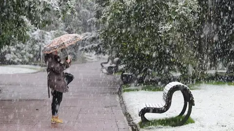 Nevada en Vitoria Nevada en Vitoria