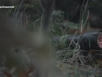 Una linterna ensangrentada Una linterna ensangrentada