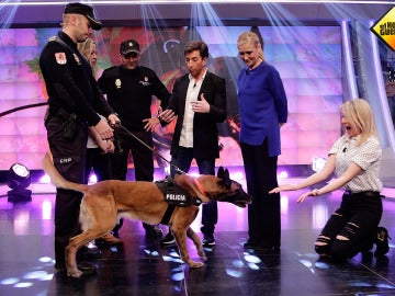 Danko, el perro policía en El Hormiguero 3.0