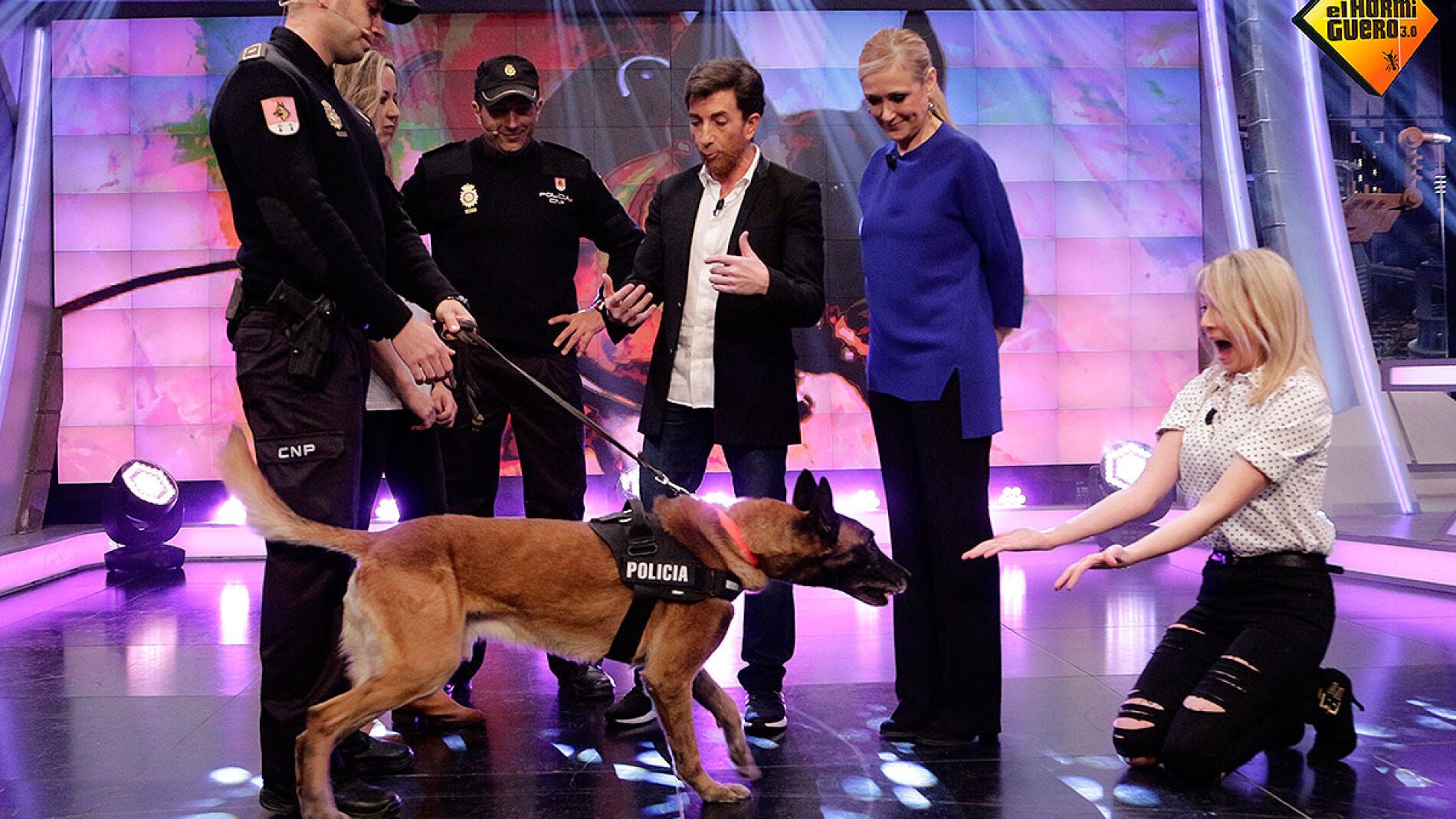 Danko, el perro polic&iacute;a en El Hormiguero 3.0