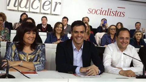 Pedro S&aacute;nchez, en el Comit&eacute; Federal